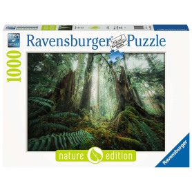 Puzzle 1000 pièces - En forêt