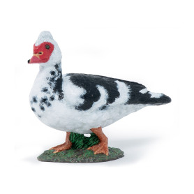 Canard de Barbarie - Figurine Papo