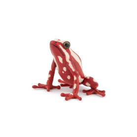 Grenouille flèche tricolore - Figurine Papo